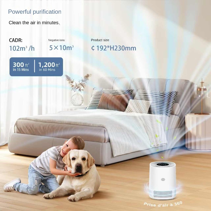 Smart Home Air Purifier with A - Smart Home App incelemesi ve fiyatı