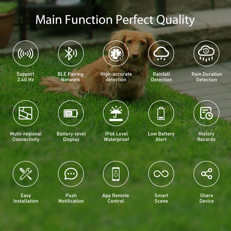 WiFi Rain Sensor Rainfall Dura - Smart Home Web incelemesi ve fiyatı