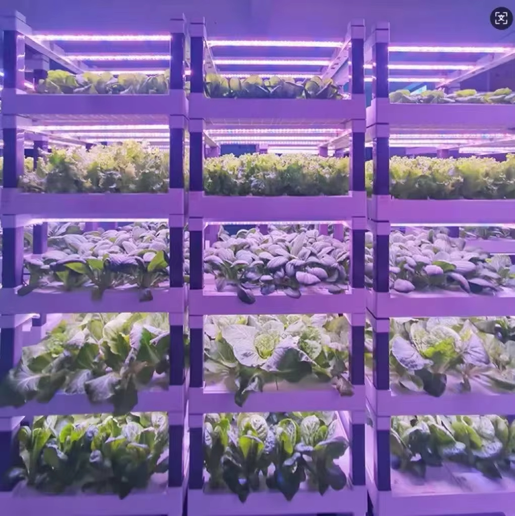 Hydroponic Grow System Greenho - Smart Home Device incelemesi ve fiyatı